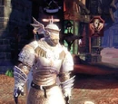 Knothole Knight Armour