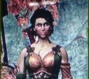 Brodican Warrior Queen Outfit