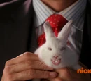 Evil Bunny
