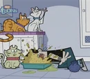 Francis' Cats
