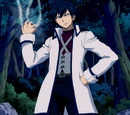 Gray Fullbuster