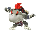 Dry Bowser