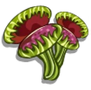 Venus Fly Trap-icon.png