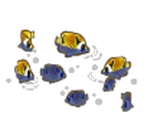 School of Fish