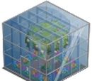 Cube Glass House