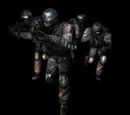 Allies