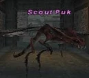 Scout Puk