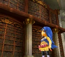 Library (Echoes of Time)