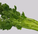 Celery