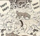 Gohei’s hunting dogs