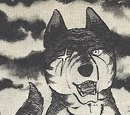 Kurotora