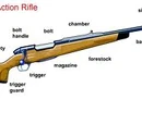 Bolt-action