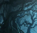 Forêt interdite