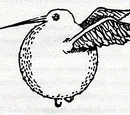 Vivet doré
