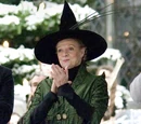Minerva McGonagall's dress robes
