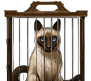 Siamese Cat