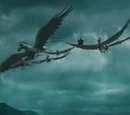 Abraxan
