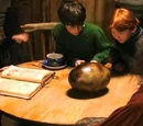 Dragon egg