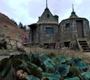 Rubeus Hagrid's pumpkin patch