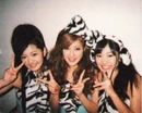 Img20100525141809243.jpg