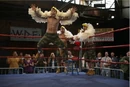 5x7 Birds of War (1).jpg
