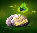 Flea Brains (Image Shop)