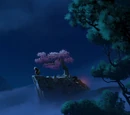 Peach Tree Hill