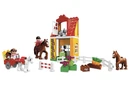 4974.jpg