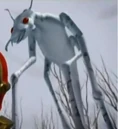 Treehorn 1.JPG