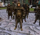 Grey Company