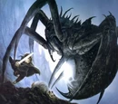 Shelob