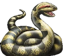 Anaconda