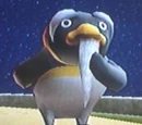 Pinguru