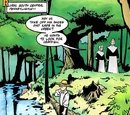 Robin Vol 4 112/Images