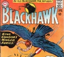Blackhawk Vol 1 209