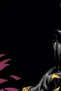 Blackbat 005.jpg