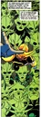 Aztek 015.jpg