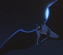 Bat-Glider/Images
