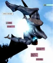 Batwing 010.jpg