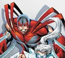 Hawk and Dove