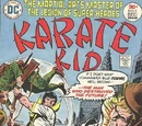 Karate Kid Vol 1 5