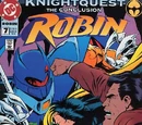 Robin Vol 4 7