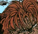 Wildside (New Earth)