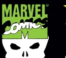 Punisher War Journal Vol 1 45