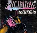 Punisher Vol 3 1