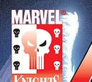 Punisher Vol 4 2