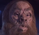 Skalaar