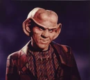 Quark