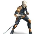 Gray Fox