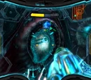 Genesis Chamber